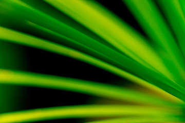 Abstract colored background close up. Macro.