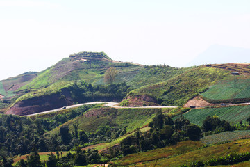 Landscape of Cabbage farm land and blue sky on the mountain