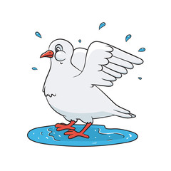 Dove splashing in the water. Spring theme. Vector colored illustration for print, greeting cards.