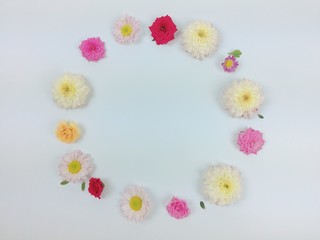 Many flowers with white background