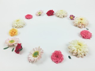 Many flowers with white background
