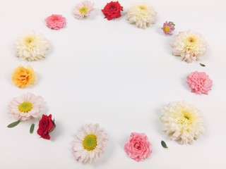 Many flowers with white background