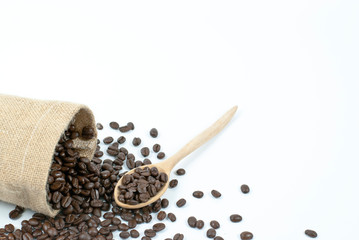 coffee beans on white background