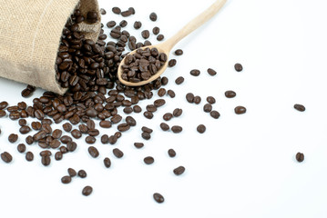 coffee beans on white background