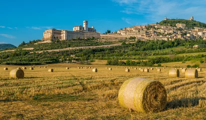 Deurstickers Panoramic view of Assisi, in the Province of Perugia, in the Umbria region of Italy. © e55evu