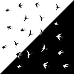 bird, two sides black and white