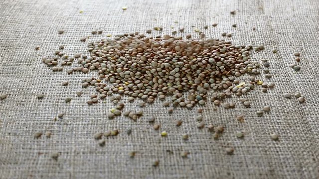 pouring green lentils close-up on burlap background