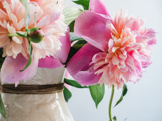 Bright peonies, vintage vase on a white background