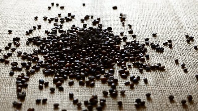 pouring roasted coffee beans close-up