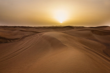 Obraz na płótnie Canvas Sunset in desert in UAE, Sand dunes in United Arab Emirates