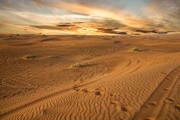 Fototapeta na wymiar Sand desert sunset view, UAE