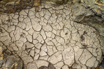 Lago di Circonio, Slovenia