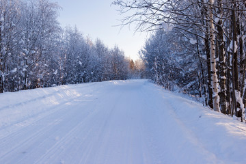 forest road frosty winter sunny day