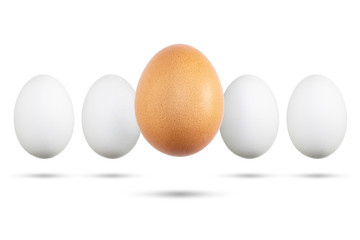 Eggs are white and brown