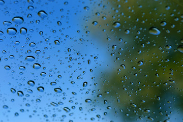 Large drops of water on transparent glass after a rain, reflection of trees in drops, a bright blue background
