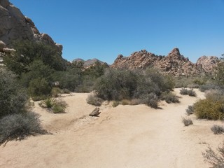 kalifornische wüste2