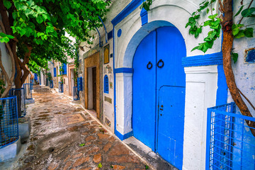 Fototapeta na wymiar Hammamet Medina streets with blue walls. Tunis, north Africa.