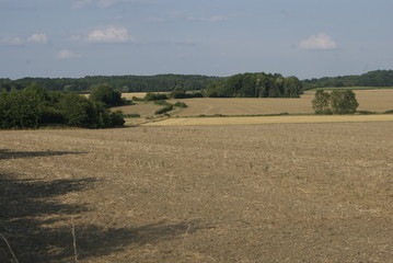 Obraz premium paysage . yonne