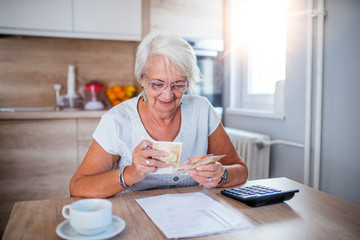 Senior woman doing finances at home.