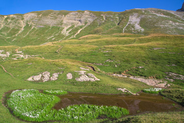 Fototapeta na wymiar Lac de Peyre