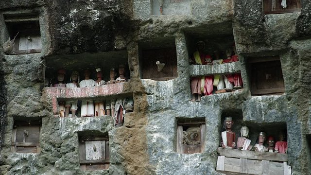 Famous funeral of Tana Toraja.Typical Toraja tombs in a vertical rock wall carved with traditional puppets in memory of the dead, Toraja Land, Sulawesi, Indonesia