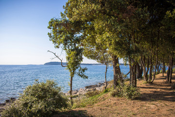 Coast of the Adriatic Sea