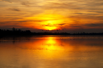 Fototapeta na wymiar Sunset and birds flying in the lake