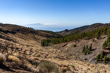 Fototapeta na wymiar panorama view on sea and forest from the top of the mountain of tenerife