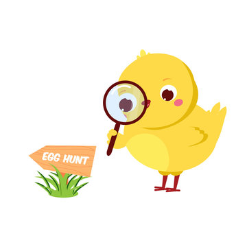Cute chicken going to Easter egg hunt. Cartoon funny chick with magnifier. Isolated character for spring seasonal design