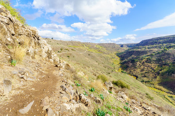 Ancient city and fortress of Gamla