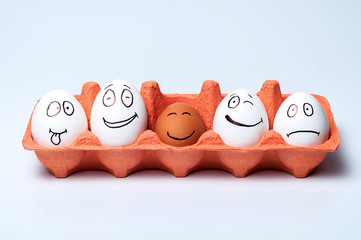 Obraz premium chicken eggs on isolated background