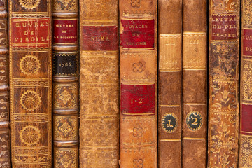 Rangée de livres anciens avec reliures en cuir du 18ème siècle