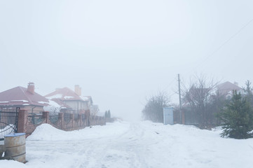 summer massif in the winter in fog with high humidity