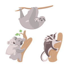 Happy animal mother with their babies. Happy mother's day. Koala bear, sloth and sugar glider with offspring isolated on white background.