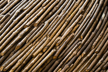 Dry branches background