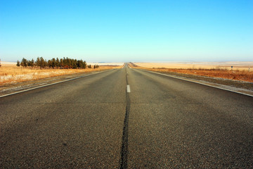 Fototapeta na wymiar Empty asphalt road in the field