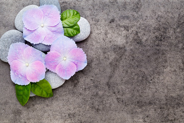 Obraz na płótnie Canvas Spa flowers and massage stone, on grey background.