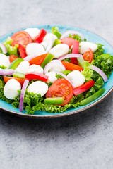 Vegetable salad with cheese mozzarella, tomatoes, basilikum and spice.