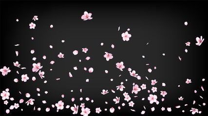 Nice Sakura Blossom Isolated Vector. Realistic Blowing 3d Petals Wedding Texture. Japanese Gradient Flowers Illustration. Valentine, Mother's Day Tender Nice Sakura Blossom Isolated on Black
