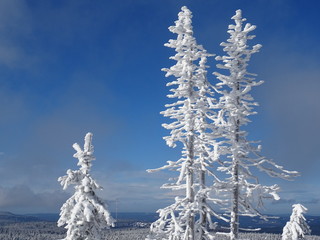 Snow in the Harz, Germany