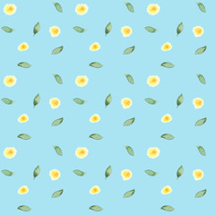 Watercolor hand-painted simple botanic leaves and flowers seamless pattern on light blue background