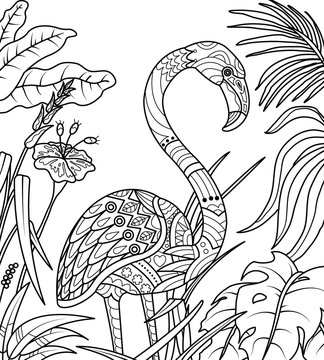 Flamingo in summer time coloring book