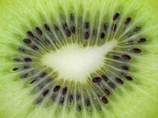 close up of sliced green kiwi fruit, natural background