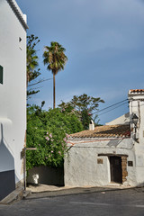 Mediterranean House in Ibiza and the nature around