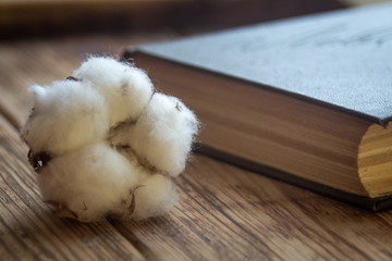 Cotton and book