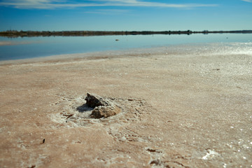 Salinas del Mar Menor in San Pedro.