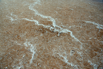 Salinas del Mar Menor in San Pedro.