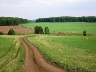 Fototapeta na wymiar rural landscape with green field