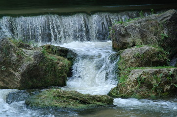 Watercourse in the English Garden