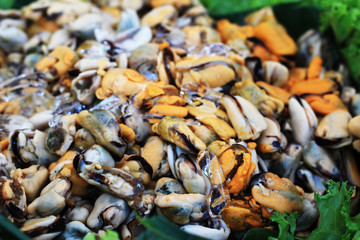mussels in the market